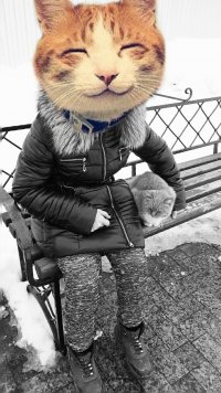 Создать мем Которетро