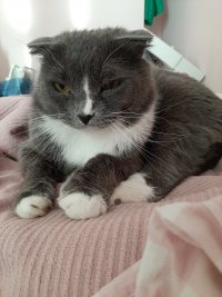 Создать мем Павел Котик