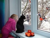 Создать мем Снегири