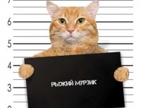 Создать мем Трол