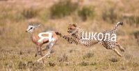 Создать мем Я школа