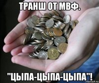 транш от мвф. "цыпа-цыпа-цыпа"!