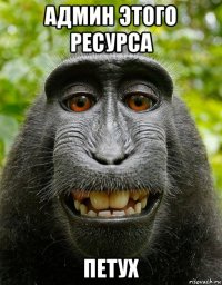 админ этого ресурса петух