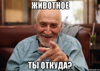 животное ты откуда?