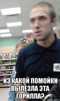  из какой помойки вылезла эта горилла?