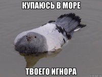 купаюсь в море твоего игнора