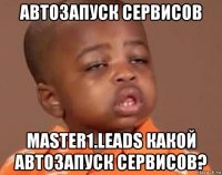 автозапуск сервисов master1.leads какой автозапуск сервисов?