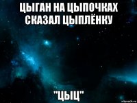 цыган на цыпочках сказал цыплёнку "цыц"