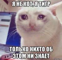 я не кот, я тигр только нихто об этом ни знает