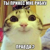 ты принес мне рибку правда ?