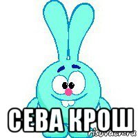  сева крош
