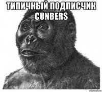 типичный подписчик cunbers 