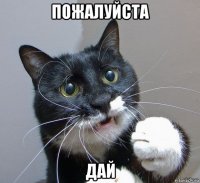 пожалуйста дай