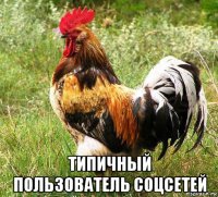  типичный пользователь соцсетей