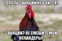 тополь санкций не боится! санкции? не смешите мои искандеры!