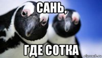 сань, где сотка