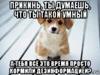 прикинь, ты думаешь, что ты такой умный а тебя всё это время просто кормили дезинформацией?