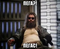 пега?! пегас!