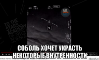  соболь хочет украсть некоторые внутренности