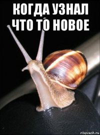 когда узнал что то новое 