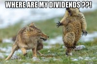 where are my dividends ??! 