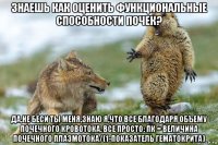 знаешь как оценить функциональные способности почек? да,не беси ты меня,знаю я,что все благодаря объему почечного кровотока. все просто: пк = величина почечного плазмотока/(1-показатель гематокрита)