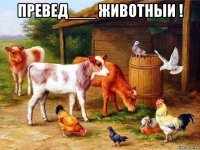 превед___ животныи ! 