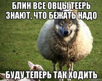 блин все овцы теерь знают, что бежать надо буду теперь так ходить