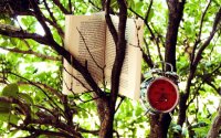 Создать мем Книга на дереве