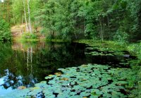 Создать мем Озеро Тараскуль