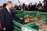 Создать мем Политика