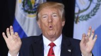 Создать мем Trump