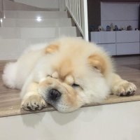 Создать мем Я - скучау Дней уже не замечау
