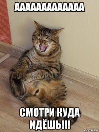 ааааааааааааа смотри куда идёшь!!!