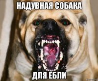 надувная собака для ебли