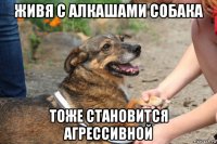 живя с алкашами собака тоже становится агрессивной