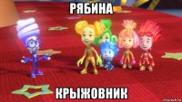 рябина крыжовник