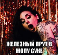  железный прут в жопу суке
