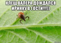 клещ валера дождался иринку в гости!!!)) 