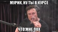 мурик, ну ты в курсе что мне пох