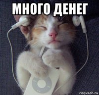 много денег 
