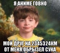 я:аниме говно мой друг на 2345324км от меня:обрызел сука