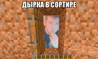 дырка в сортире 