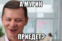 а мурик приедет?