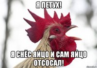 я петух! я снёс яйцо и сам яйцо отсосал!