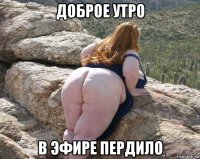 доброе утро в эфире пердило
