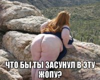  что бы ты засунул в эту жопу?