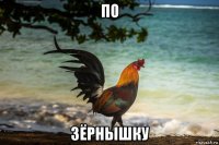 по зёрнышку