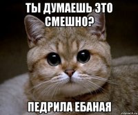 ты думаешь это смешно? педрила ебаная