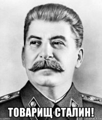  товарищ сталин!